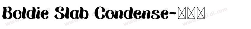 Boldie Slab Condense字体转换